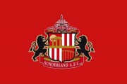 耀世娱乐网页版-小修小补，记者：桑德兰在夏窗只会进行3-4名针对性引援